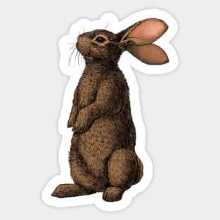 Rabbit Sticker